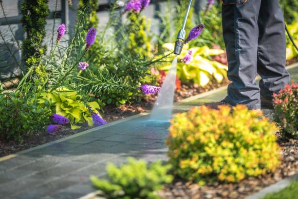 Best Gutter Cleaning  in Brewer, ME
